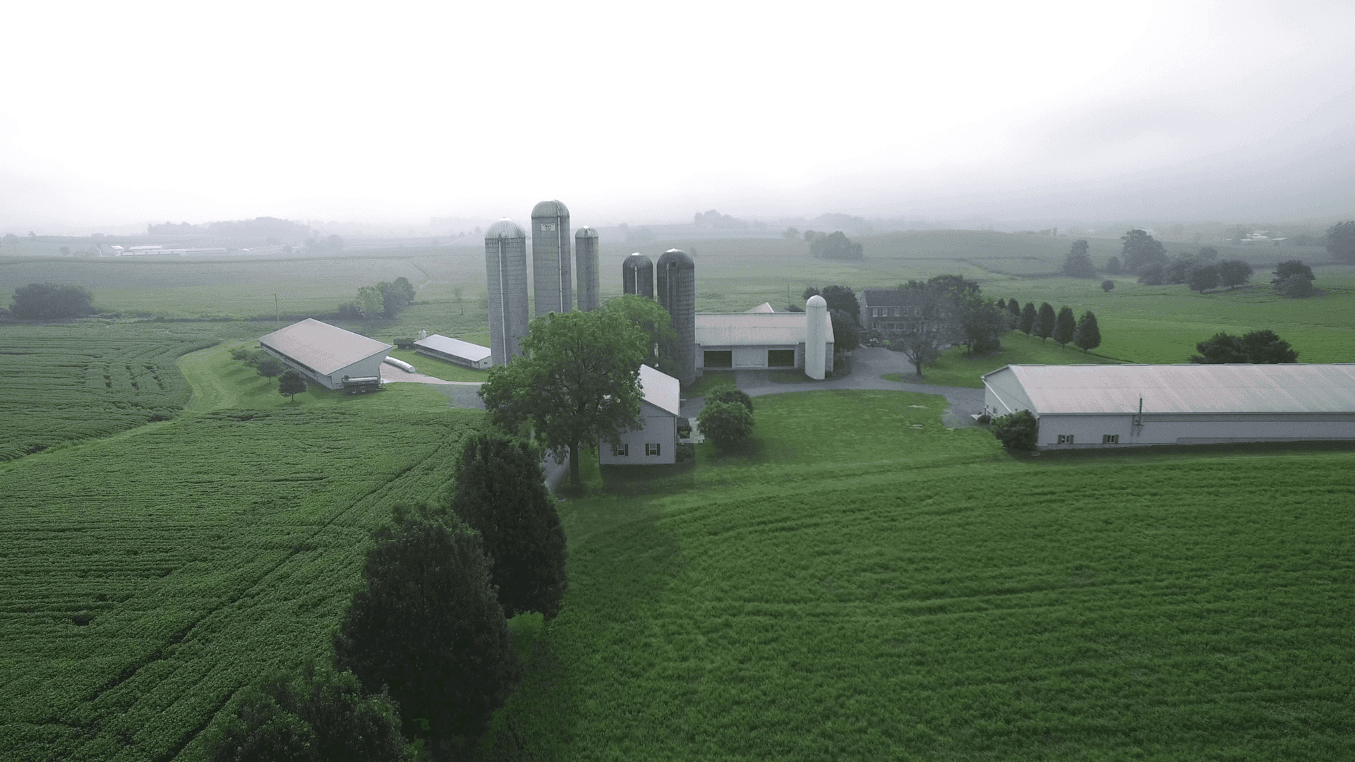 Our farm from above